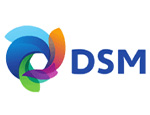 dsm-logo-ok